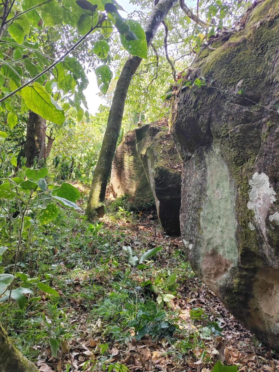 El Paraiso Escondido Lejlighed San Juan  Eksteriør billede