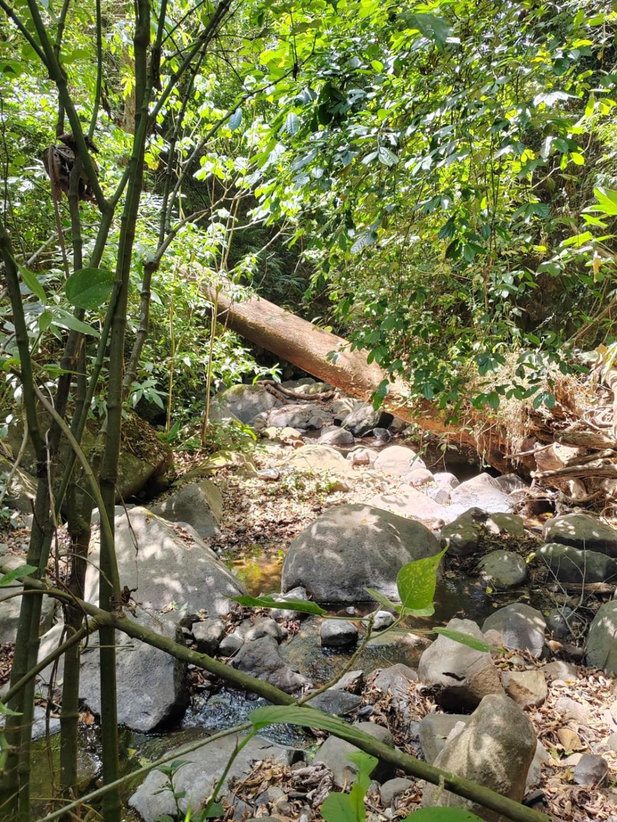 El Paraiso Escondido Lejlighed San Juan  Eksteriør billede