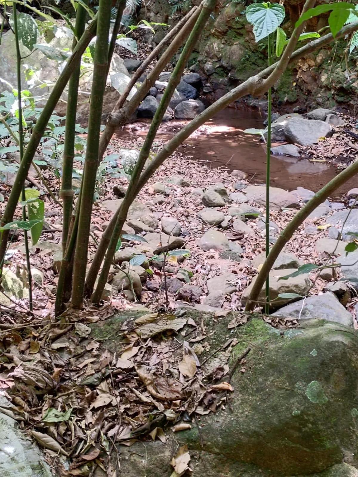 El Paraiso Escondido Lejlighed San Juan  Eksteriør billede