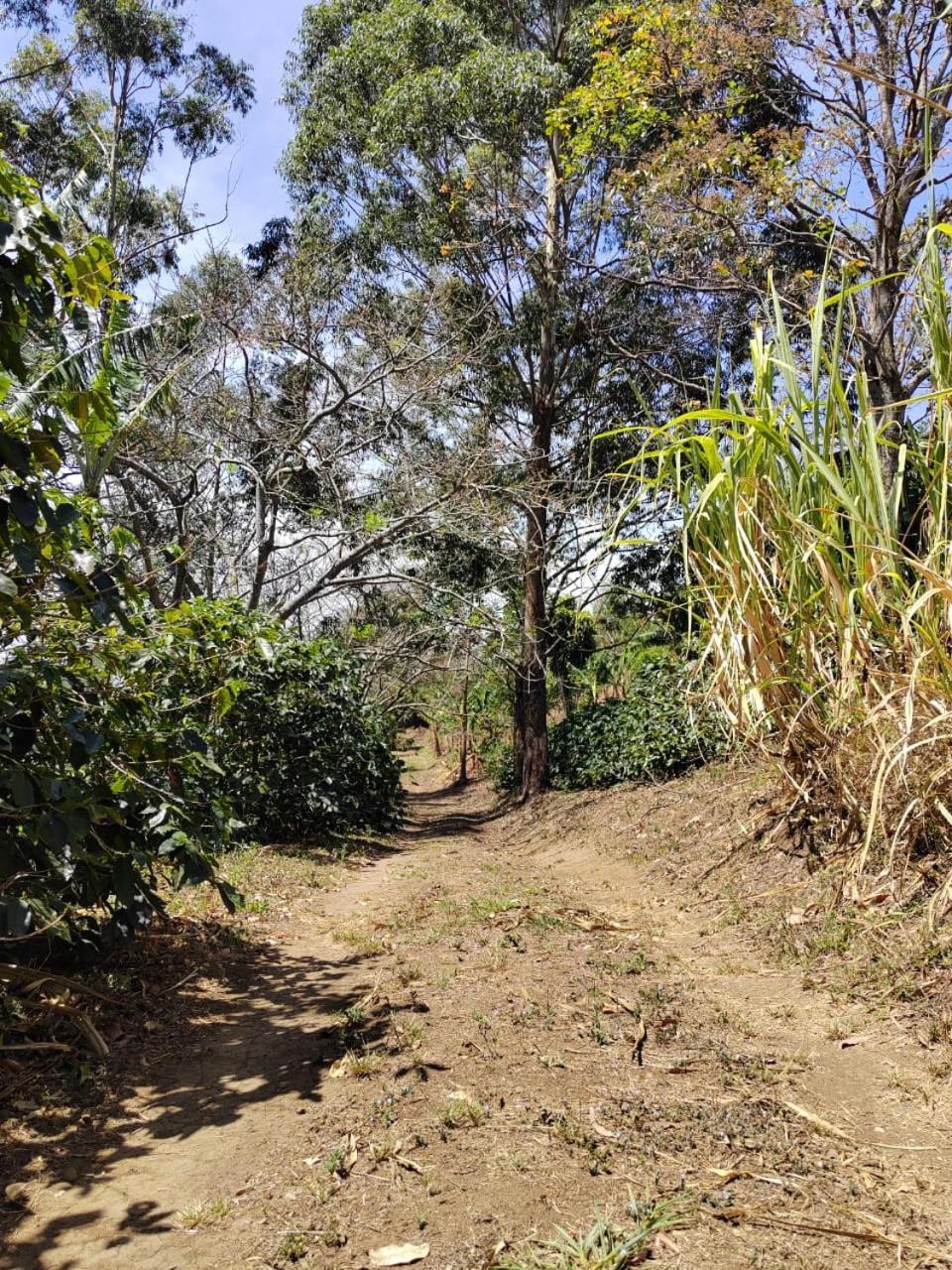 El Paraiso Escondido Lejlighed San Juan  Eksteriør billede